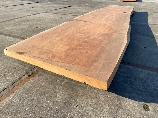 Afrormosia Boomstamblad – 4280 x 1060 x 80 mm – Geschuurd