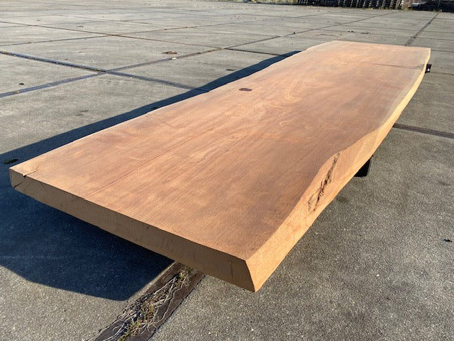 Afrormosia Boomstamblad – 4280 x 1060 x 80 mm – Geschuurd