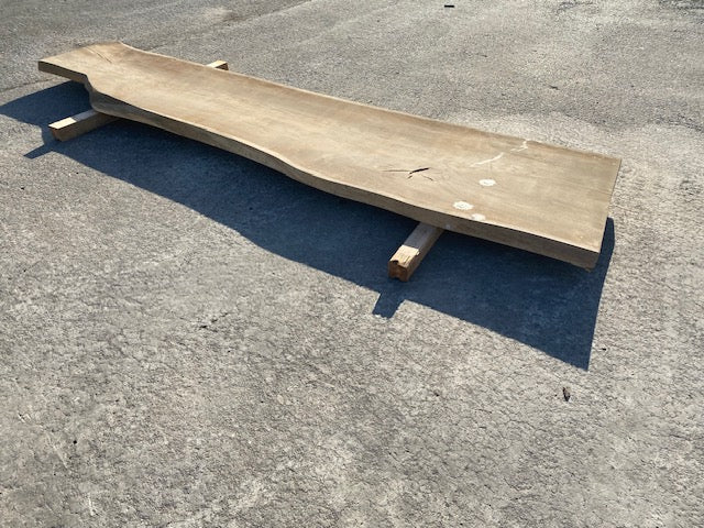 Planche en tronc de Chêne – 2980 x 660 x 55 mm – Ponçé