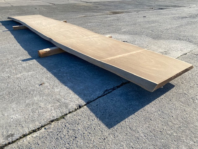 Afrormosia Boomstamblad – 4500 x 720 x 40 mm - Geschuurd