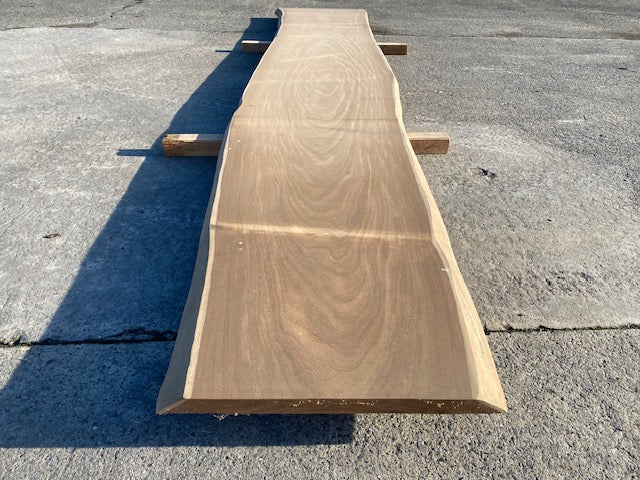 Afrormosia Boomstamblad – 4500 x 720 x 40 mm - Geschuurd