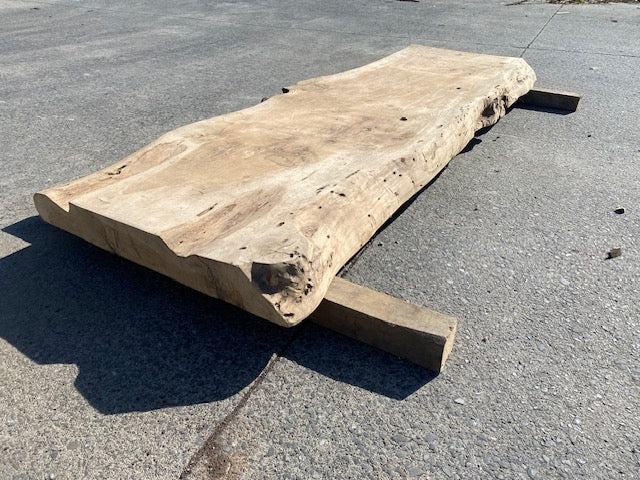 Ceder Boomstamblad – 2300 x 680 x 100 mm – Geschuurd