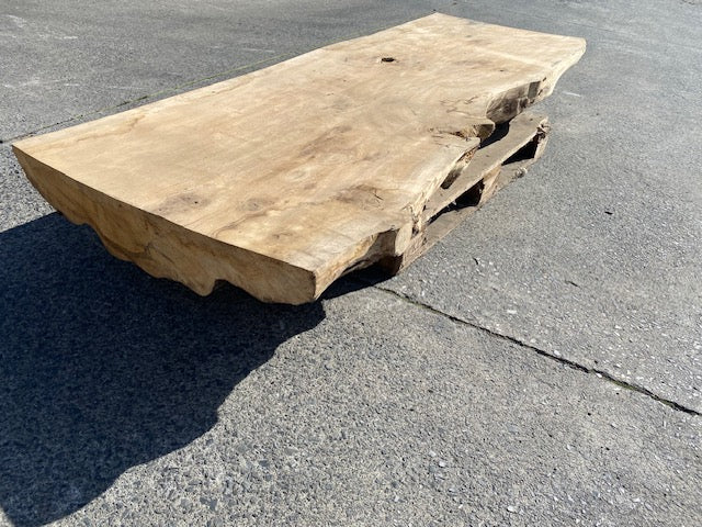 Planche en tronc de Chêne – 4620 x 700 x 75 mm – Ponçé