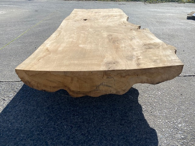 Planche en tronc de Chêne – 4620 x 700 x 75 mm – Ponçé