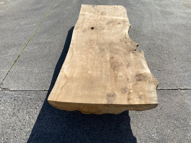 Planche en tronc de Chêne – 4620 x 700 x 75 mm – Ponçé