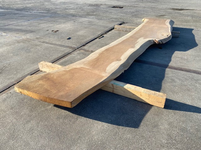 Eiken Boomstamblad – 3100 x 500 x 50 mm – Geschuurd
