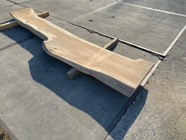 Eiken Boomstamblad – 3100 x 500 x 50 mm – Geschuurd