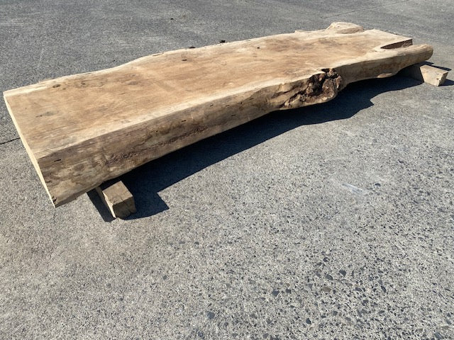 Poplar Log Leaf – 3480 x 760 x 80 mm – Sanded