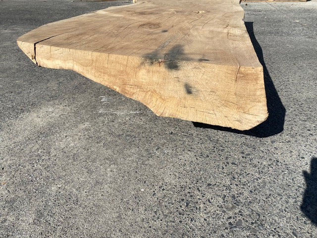 Planche en tronc de Chêne  – 4620 x 700 x 75 mm – Ponçé