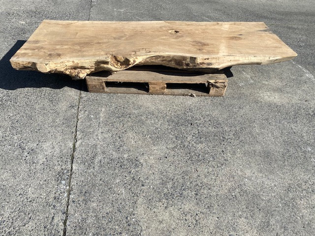 Planche en tronc de Chêne  – 4620 x 700 x 75 mm – Ponçé